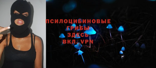 шишки Горно-Алтайск