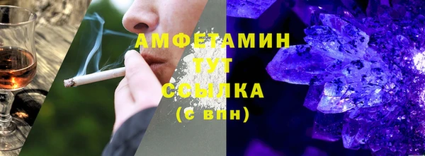 шишки Горно-Алтайск