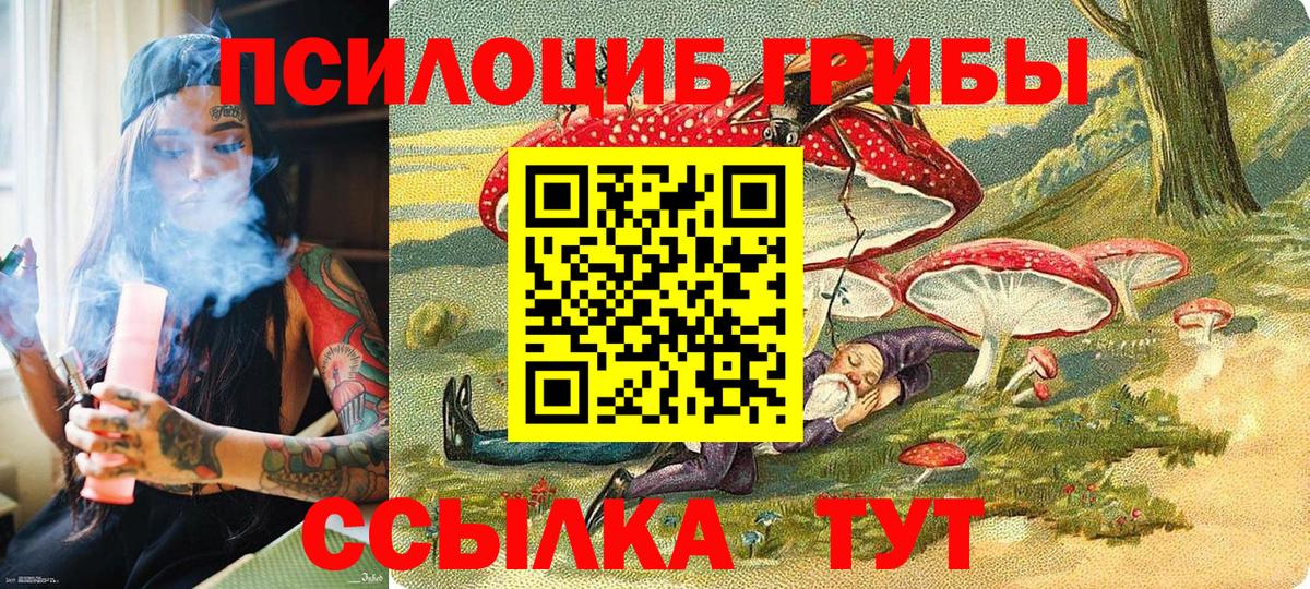 Галлюциногенные грибы Psilocybe  Волжск  Псилоцибиновые грибы мицелий 