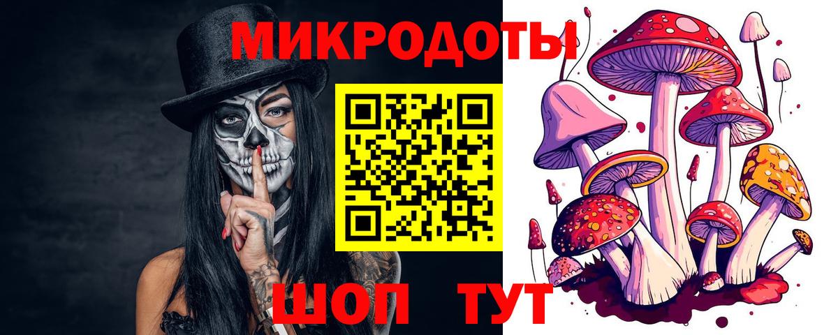 Псилоцибиновые грибы мухоморы Волжск