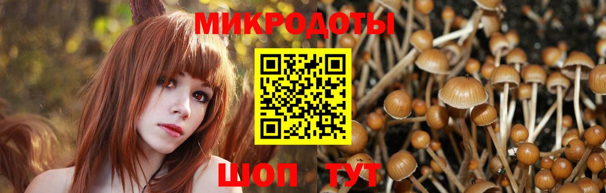 Волжск  Галлюциногенные грибы Magic Shrooms  Галлюциногенные грибы мухоморы  Вход с VPN 